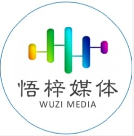 安徽悟梓媒體技術(shù)有限公司